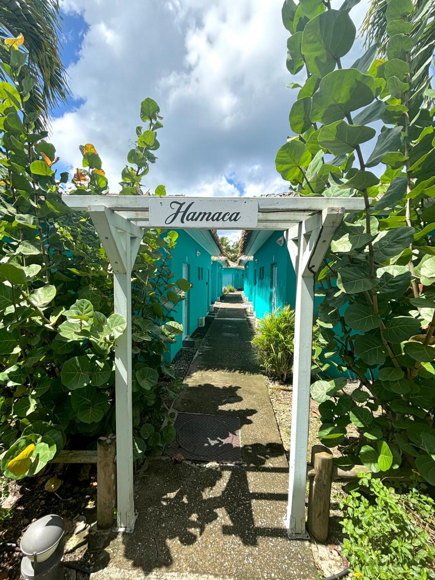 La Bulle De Maloma - Piscine, Blue Dream, Plage Grand-Bourg  Exterior foto